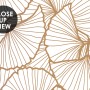 Ginkgo Leaf Wallpaper Mural