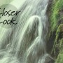 Waterfall with Misty Green Forest Landscape Wallpaper Mural