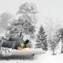 Black and White Forest Wallpaper Mural