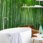 Bamboo Forest Oasis Wallpaper Mural