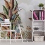 Vintage Tropical Leaf Wallpaper Mural