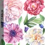 Watercolor Pink Peony Tulip Daisy Floral Bouqet Wall Decal Sticker