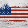 USA Flag with Statue of Liberty Wallpaper Mural