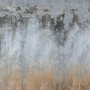 Gray Brown Grunge Cement Style Wallpaper Mural