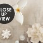 Vintage Water Lily Pond Wallpaper Mural