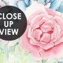 Watercolor Soft Floral Wallpaper Mural