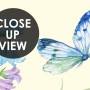 Purple Floral Garden Wallpaper Mural