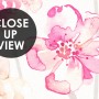 Pink Romantic Floral Wallpaper Mural