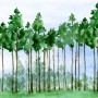 Cartoon Poplar Tree Wallpaper Mural
