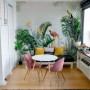 Toucans and Tropical Rainforest Wallpaper Mural