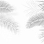 Dark Tropical Leaf Wallpaper Mural