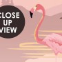 Pink Sunrise Landscape with Flamingos Wallpaper Mural