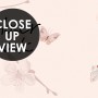 Plum Floral Art Wallpaper Mural