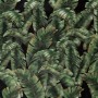 Dark Banana Leaf Wallpaper Mural