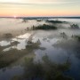 Foggy Rive Forest Landscape Wallpaper Mural