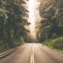 Highway on the Forest Landscape Wallpaper Mural