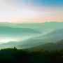 Misty Mountain Green Forest Scenic Wallpaper Mural