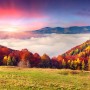 Colorful Nature Autumn Wallpaper Mural