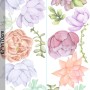 Watercolor Soft Echeveria Cactus Florals Wall Decal Sticker