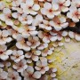 Oil Painting Cherry Blossom Wallpaper Mural