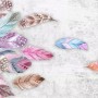 Colorful Feather Wallpaper Mural