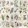 Vintage Floral Ceramic Art Wallpaper Mural