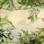 Magical Tropical Rainforest Wallpaper Mural