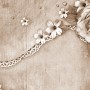 Dark Rose and Daisy Floral Wallpaper Mural
