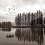 Monochrome Dark Forest and Lake Wallpaper Mural