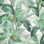 Banana Leaf Wallpaper Wallpaper Mural
