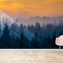 Misty Pine Forest Landscape Wallpaper Mural