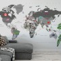 Political World Map with Country Flags Wallpaper Mural