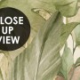 Watercolor Safari Animals in Forest Wallpaper Mural