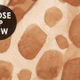 Kids Forest Animals with Treehouse Wallpaper Mural