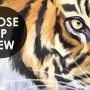 Kids Safari Watercolor Tropical  Forest Jungle Animals Wallpaper Mural