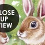 Kids Woodland Animals in the Forest Wallpaper Mural