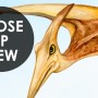 Kids Prehistoric Dinosaur Wallpaper Mural