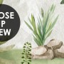 Watercolor Pine Tree Kids Nursery Forest Wallpaper Mural