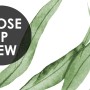 Watercolor Green Palm Leaf Pattern Wallpaper Mural