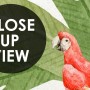 Kids Tropical Jungle Animals Wallpaper Mural