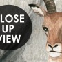 Kids Tropical Jungle Animals Wallpaper Mural
