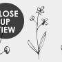 Minimal and Modern Field Plants Art Wallpaper Mural