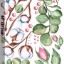 White Cotton Florals with Green Leaf and Pink Rosebud Wall Decal Sticker