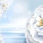 Abstract Art Floral Wallpaper Mural