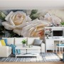 Cream Rose Flowers Wallpaper Mural