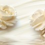 Cream Rose Floral with Water Pattern Wallpaper Mural