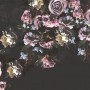 Dark Rose Floral Bouqet Wallpaper Mural