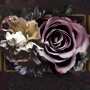 Dark Rose Floral Wallpaper Mural