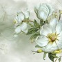 Nostalgic Magnolia Floral Wallpaper Mural