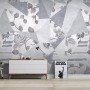 Rose Floral with Geometric Pattern Wallpaper Mural